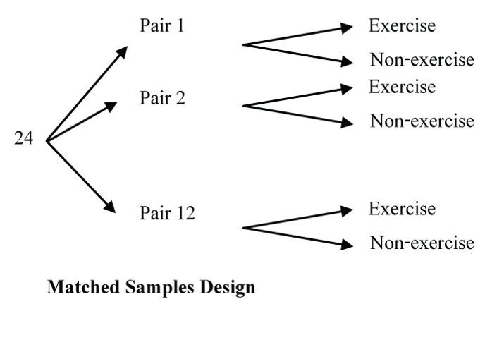 Matched pair design of 24 cases split into 12 pairs of Exercise and Non-exercise