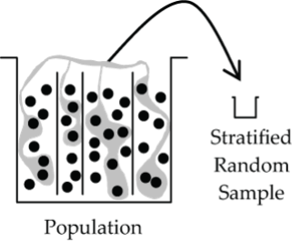 Graphic representation of a Stratified random sample