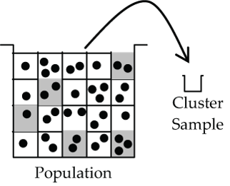 Graphic representation of a Cluster sample