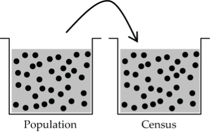 Graphic representation of a Census