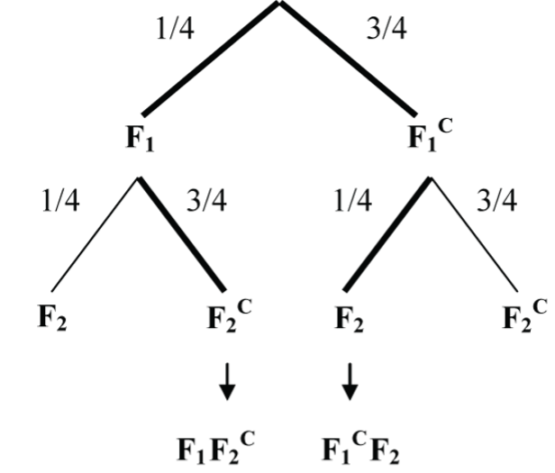 Probability tree example