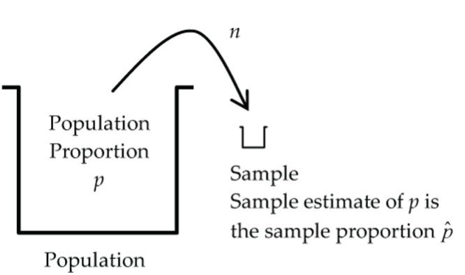 Sampling a proportion