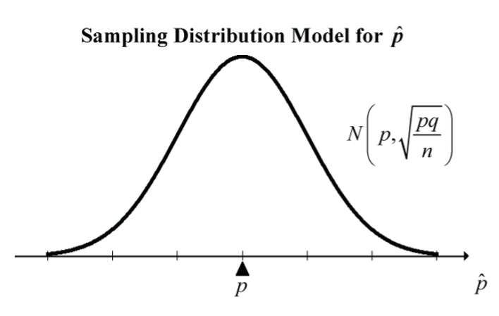 Sampling distribution of a proportion